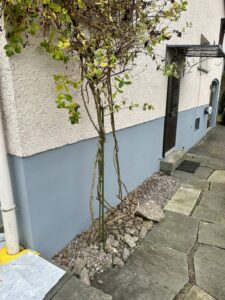 Capiaghi Maler und Gipser Zürich Projektfotos Einfamielienhaus