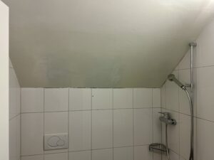 Capiaghi Maler und Gipser Zürich Projektfotos Erneuerung der Anschlussfugen